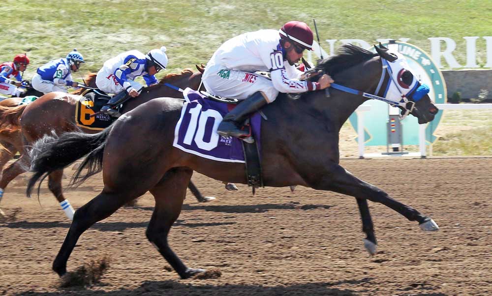 Sandy Ridge Racing – Kentucky Quarter Horse Raciing Association